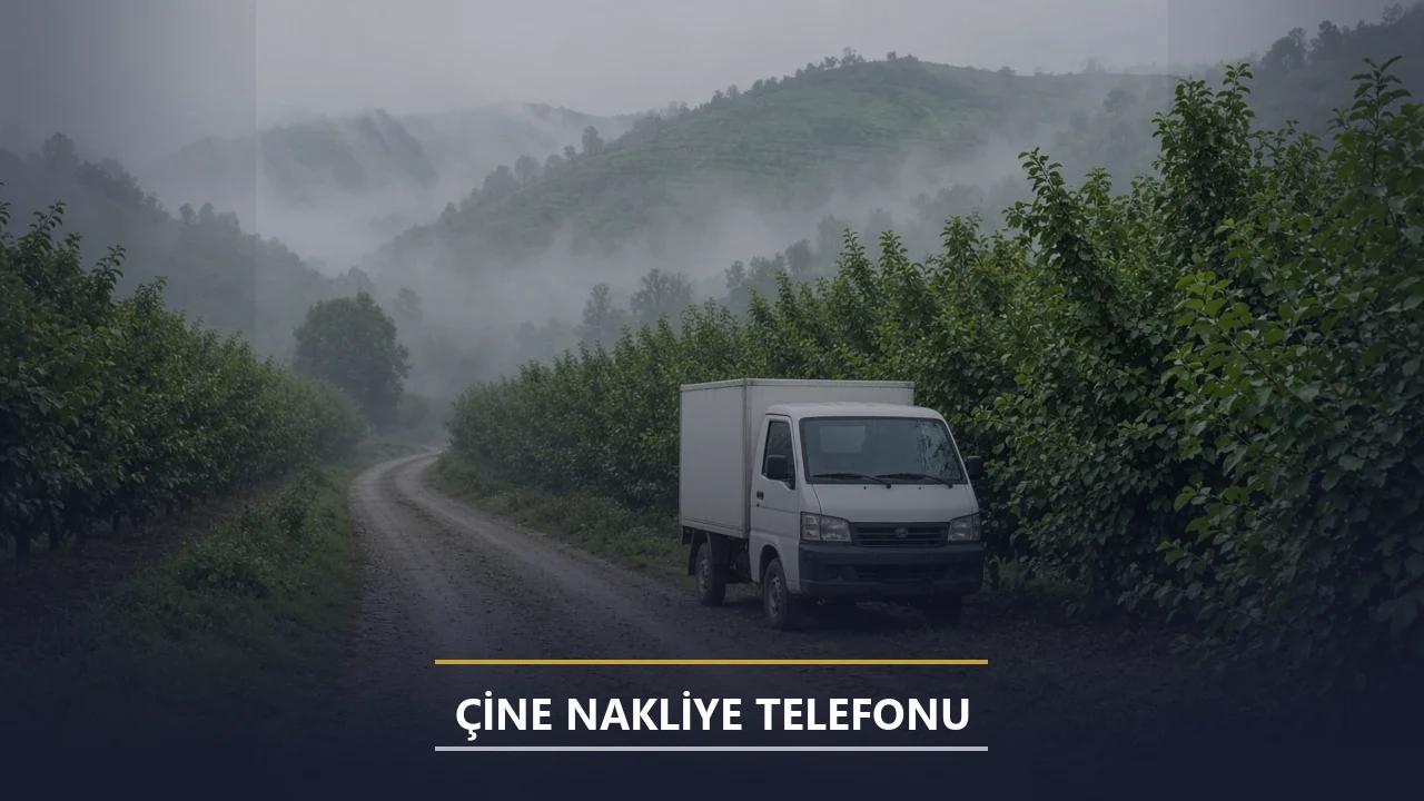 Çine Nakliye Telefonu